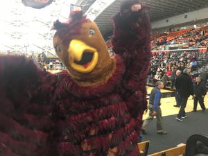 세인트 조지프스 호크스 마스코트 (2018년 프린스턴 대학교의 제드윈 체육관에서)