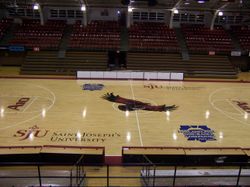 헤이건 아레나 농구 코트