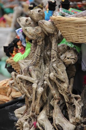 미라화된 사산된 라마, 마녀 시장.