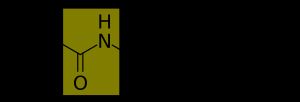 아이소펩타이드 결합으로 연결된 글리신과 라이신. 아이소펩타이드 결합은 노란색으로 강조 표시됨.