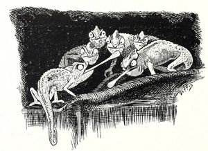 매뉴얼 트레이닝 고등학교 연감, 1900년에 발행된 이미지