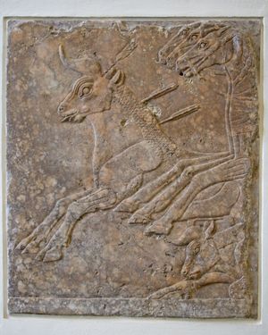 소를 사냥하는 장면을 그린 장식 벽의 얕은 부조의 일부. 니네베 출토, 설화석고제, 기원전 695년경. (베를린, 페르가몬 박물관 소장)