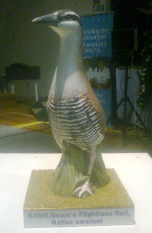 괌뜸부기(ko'ko')의 의례적인 조각상, 괌 정부에서 선물함