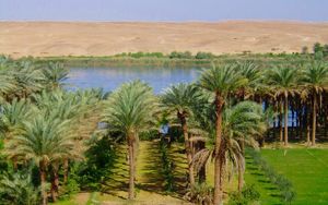 이라크의 유프라테스강(2005)