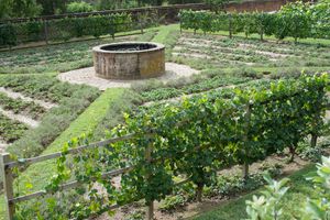 마운트 버넌의 기하학적 정원