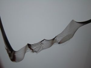 유리에서 나타나는 취성 파괴