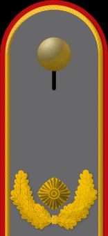 독일 육군 준장 계급장