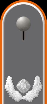 독일 육군 소령 계급장