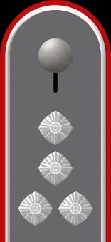 독일 육군 상급대위 계급장