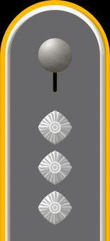 독일 육군 대위 계급장