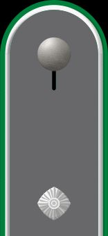 독일 육군 소위 계급장