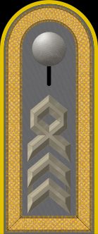 독일 육군 상급주임원사 계급장