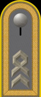 독일 육군 주임원사 계급장