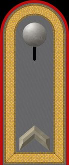 독일 육군 중사 계급장