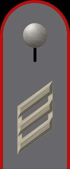 독일 육군 병장 계급장