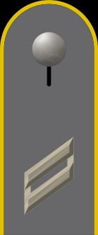 독일 육군 상등병 계급장