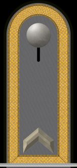 독일 육군 사관후보생 계급장