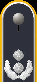 Jacke Dienstanzug Luftwaffenuniformträger