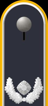 Jacke Dienstanzug Luftwaffenuniformträger