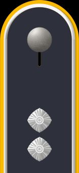Jacke Dienstanzug Luftwaffenuniformträger