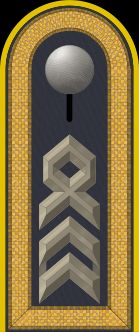 Jacke Dienstanzug Luftwaffenuniformträger