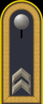Jacke Dienstanzug Luftwaffenuniformträger