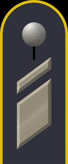 독일 공군 슈타프스코르포랄 계급장