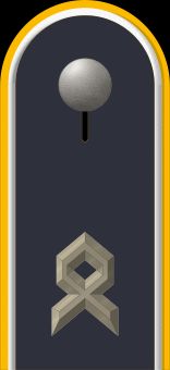 Jacke Dienstanzug Luftwaffenuniformträger