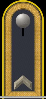 독일 공군 펜리히 계급장