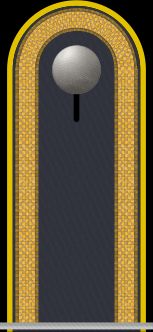 Jacke Dienstanzug Luftwaffenuniformträger