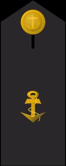 Schulterklappe Dienstanzug Marineuniformträger 10er Verwendungsreihen