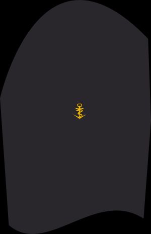 Ärmelabzeichen Dienstanzug Marineuniformträger 81er Verwendungsreihe