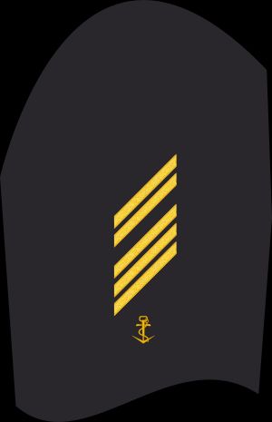 Ärmelabzeichen Dienstanzug Marineuniformträger 10er Verwendungsreihen