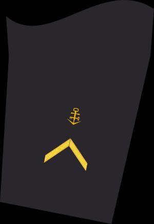 Ärmelabzeichen Dienstanzug Marineuniformträger 60er Verwendungsreihen