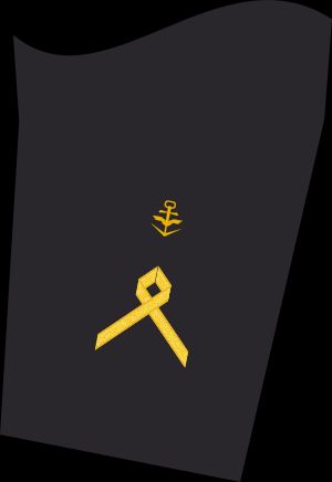 Ärmelabzeichen Dienstanzug Marineuniformträger 50er Verwendungsreihen