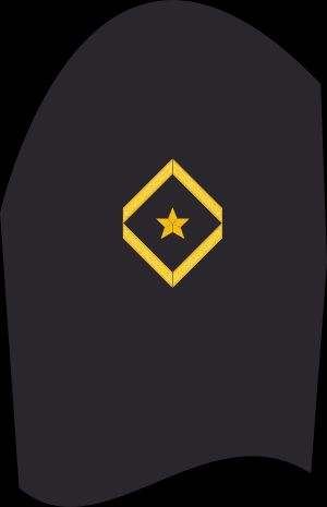 Ärmelabzeichen Dienstanzug Marineuniformträger 20er Verwendungsreihen
