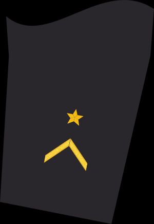 Ärmelabzeichen Dienstanzug Marineuniformträger 60er Verwendungsreihen