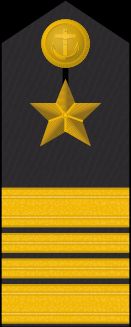 Schulterklappe Dienstanzug Marineuniformträger (militärfachlicher Dienst)