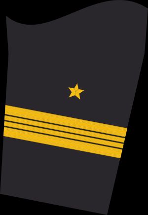 Ärmelabzeichen Dienstanzug Marineuniformträger (militärfachlicher Dienst)