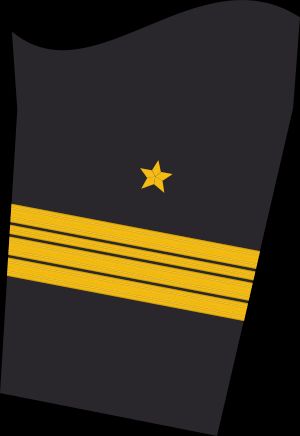 Ärmelabzeichen Dienstanzug Marineuniformträger (Truppendienst)