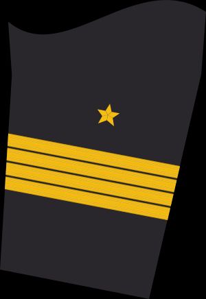 Ärmelabzeichen Dienstanzug Marineuniformträger (Truppendienst)