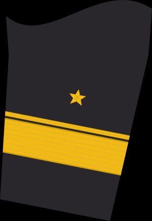 Ärmelabzeichen Dienstanzug Marineuniformträger (Truppendienst)