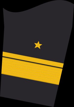 Ärmelabzeichen Dienstanzug Marineuniformträger (Truppendienst)