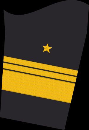 Ärmelabzeichen Dienstanzug Marineuniformträger (Truppendienst)