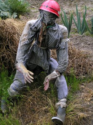 헬멧을 쓴 허수아비 (일본)