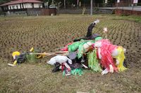 역할을 마치고, 공양을 기다리는 허수아비(2016년 9월)