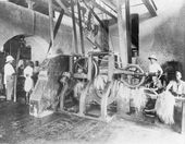 사이잘삼 공장, 약. 1906/18.