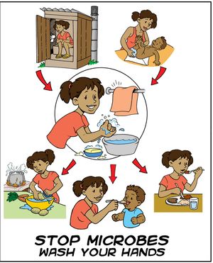 위생에 대한 인식을 높이기 위해 손 씻는 시기를 알려주는 포스터.