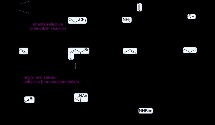 코리(Corey)의 오셀타미비르 합성법