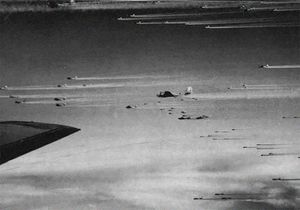 1000기 이상의 B-17 폭격기가 비행 중인 미국 육군 항공대의 모습